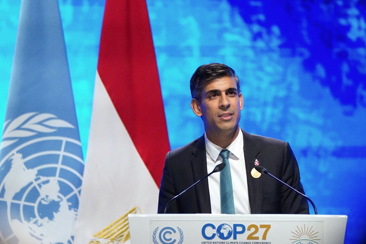 UK must ‘double down’ on climate leadership at Cop28, MPs say