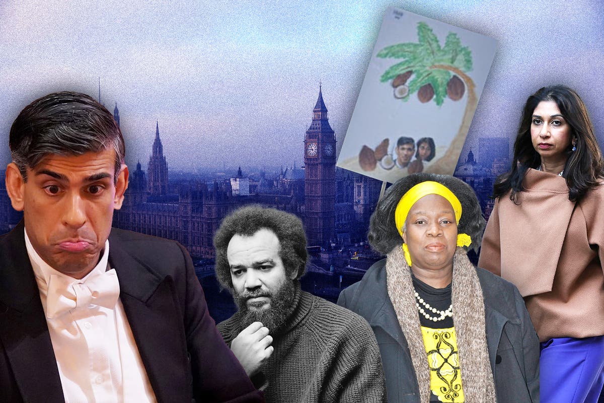 Is the term &lsquo;coconut&rsquo; controversial, racist &ndash; or both?