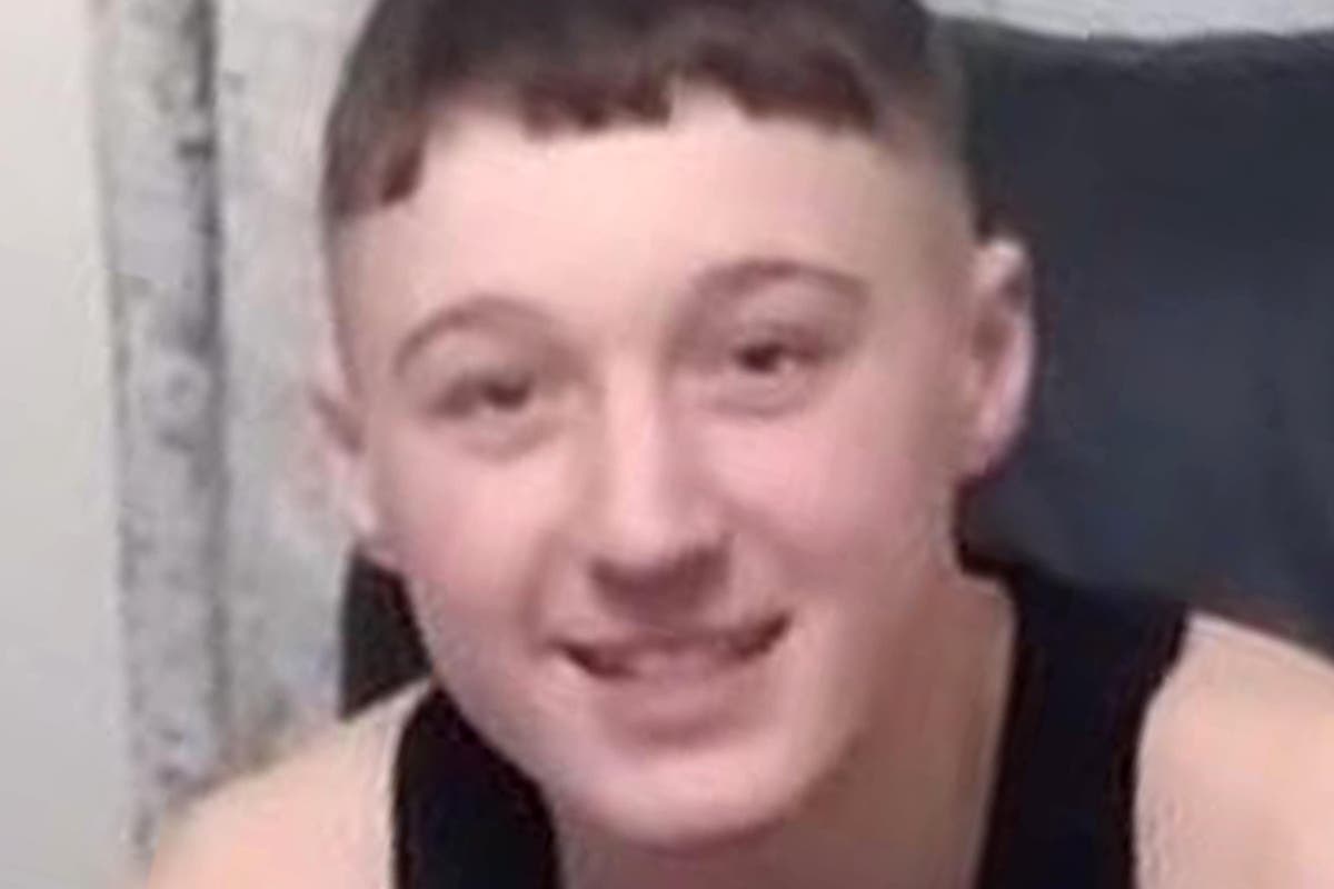 Boy fatally stabbed as part of tit-for-tat violence between groups, court hears