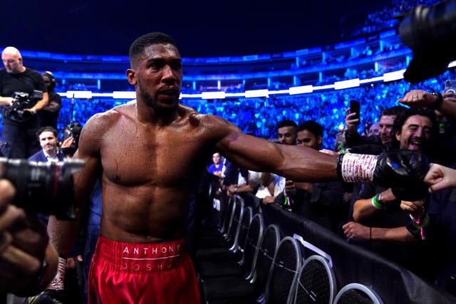 <p>Anthony Joshua will be back in action in December (Nick Potts/PA)</p>
