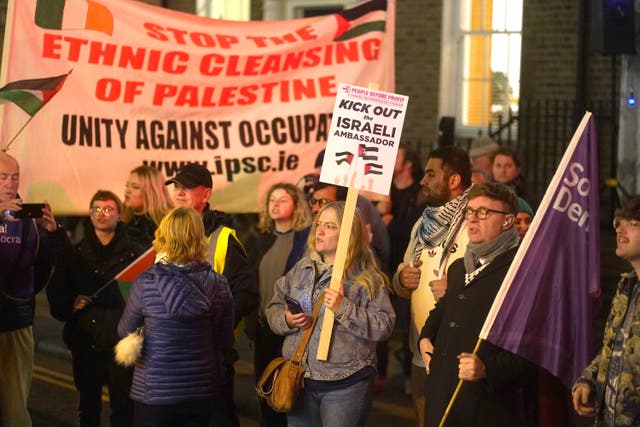 People attending a pro-Palestinian protest at Leinster House, Dublin (Brian Lawless/PA)