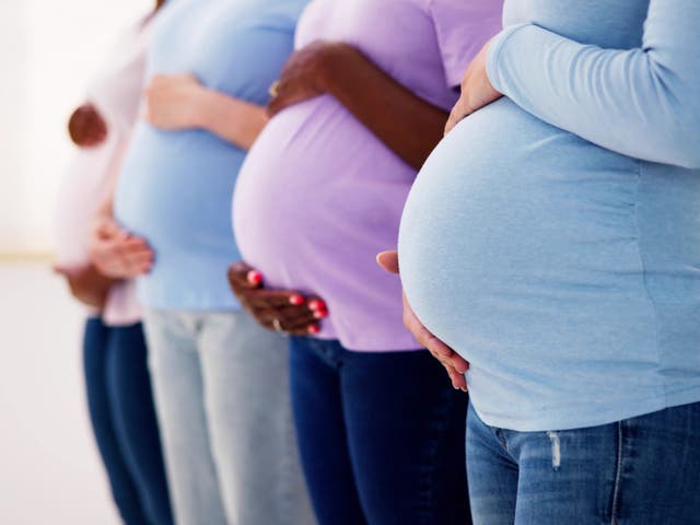 <p>Image of pregnant mothers </p>