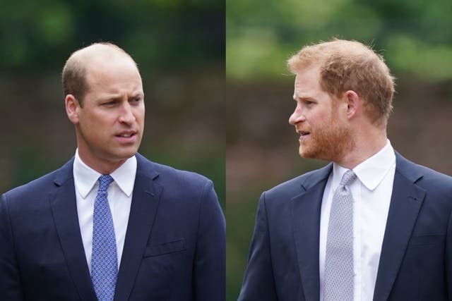<p>The book claims that there is ‘no going back’ for William and Harry </p>