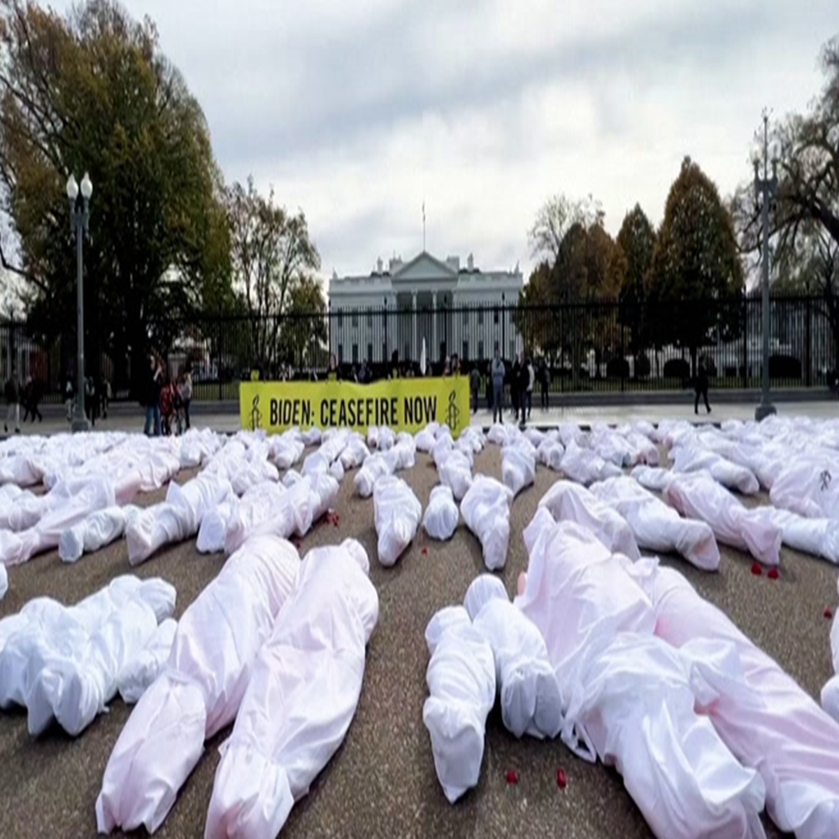 Crisis Actors, Fake Body Bags: False Claims About Ukraine War Go Viral