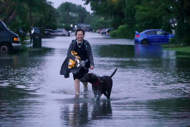 <p>Bernadette Romero Eden walks her dog on a flooded street in Oakland Park, Florida, on Thursday</p>