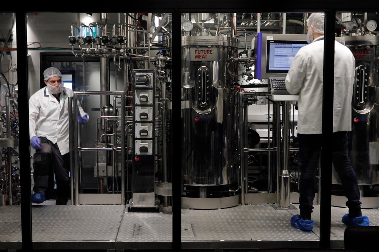 Protein Problem Cultivated Meat