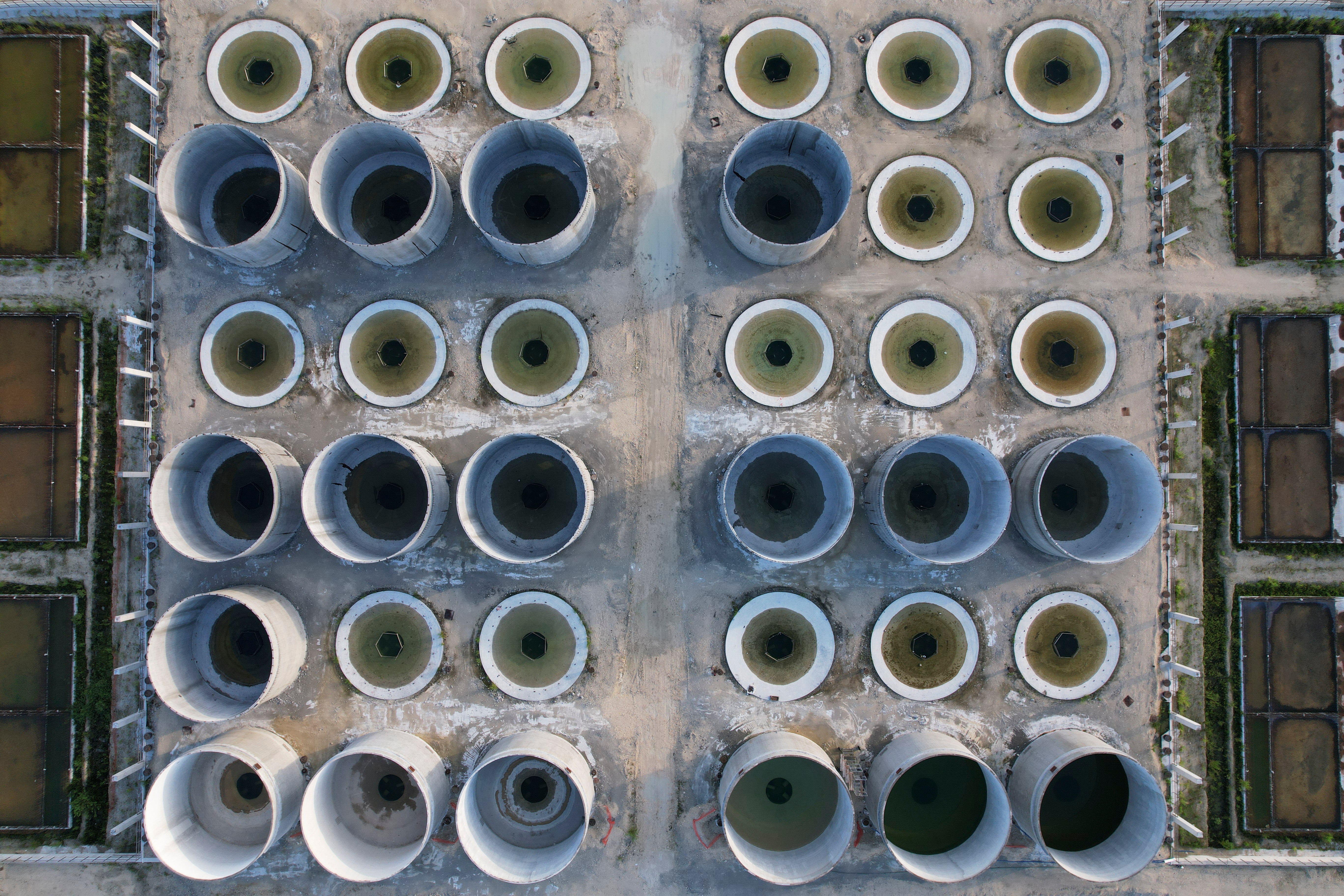 Protein Problem Fish Farms