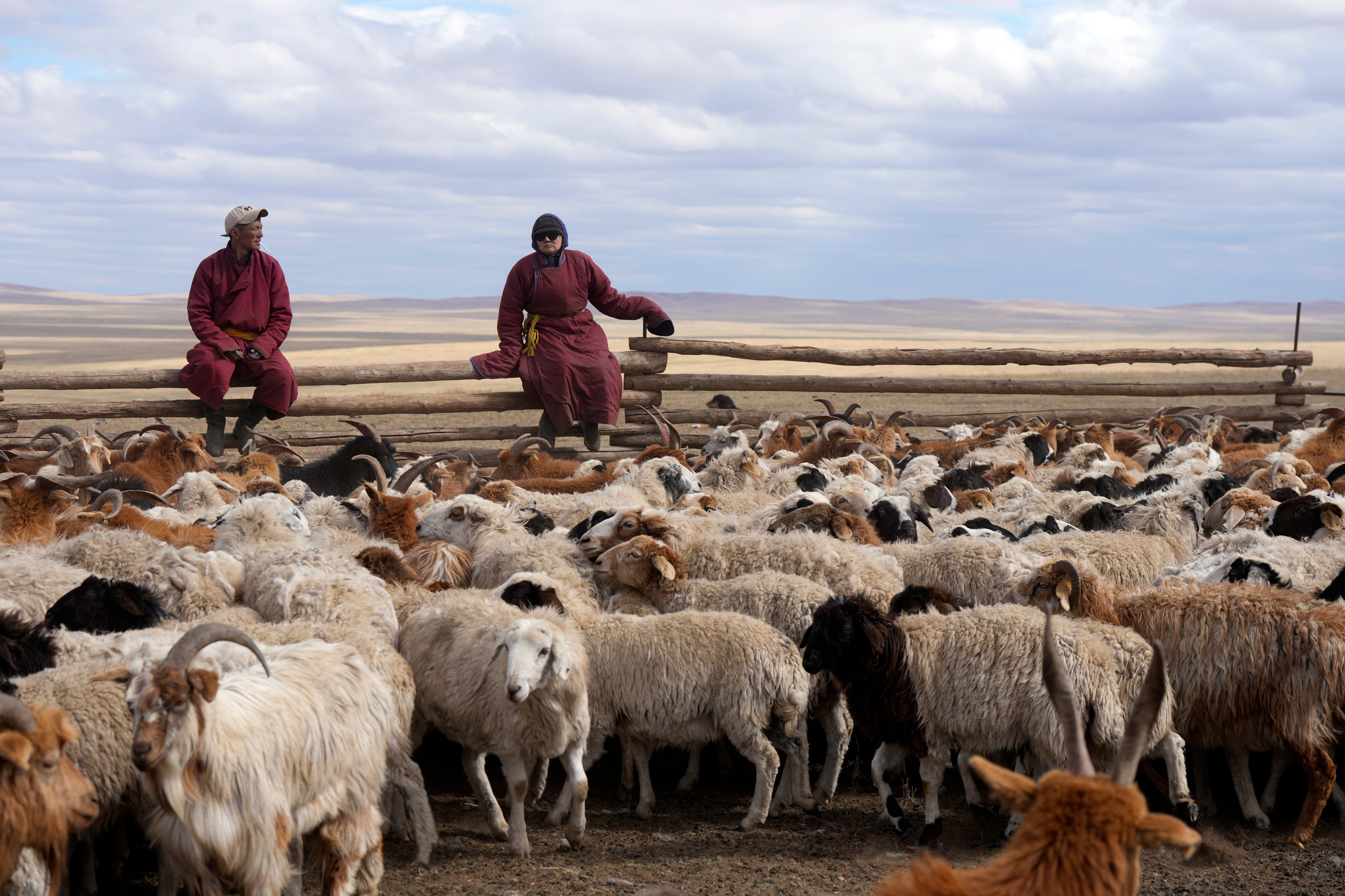 Protein Problem Pastoralism
