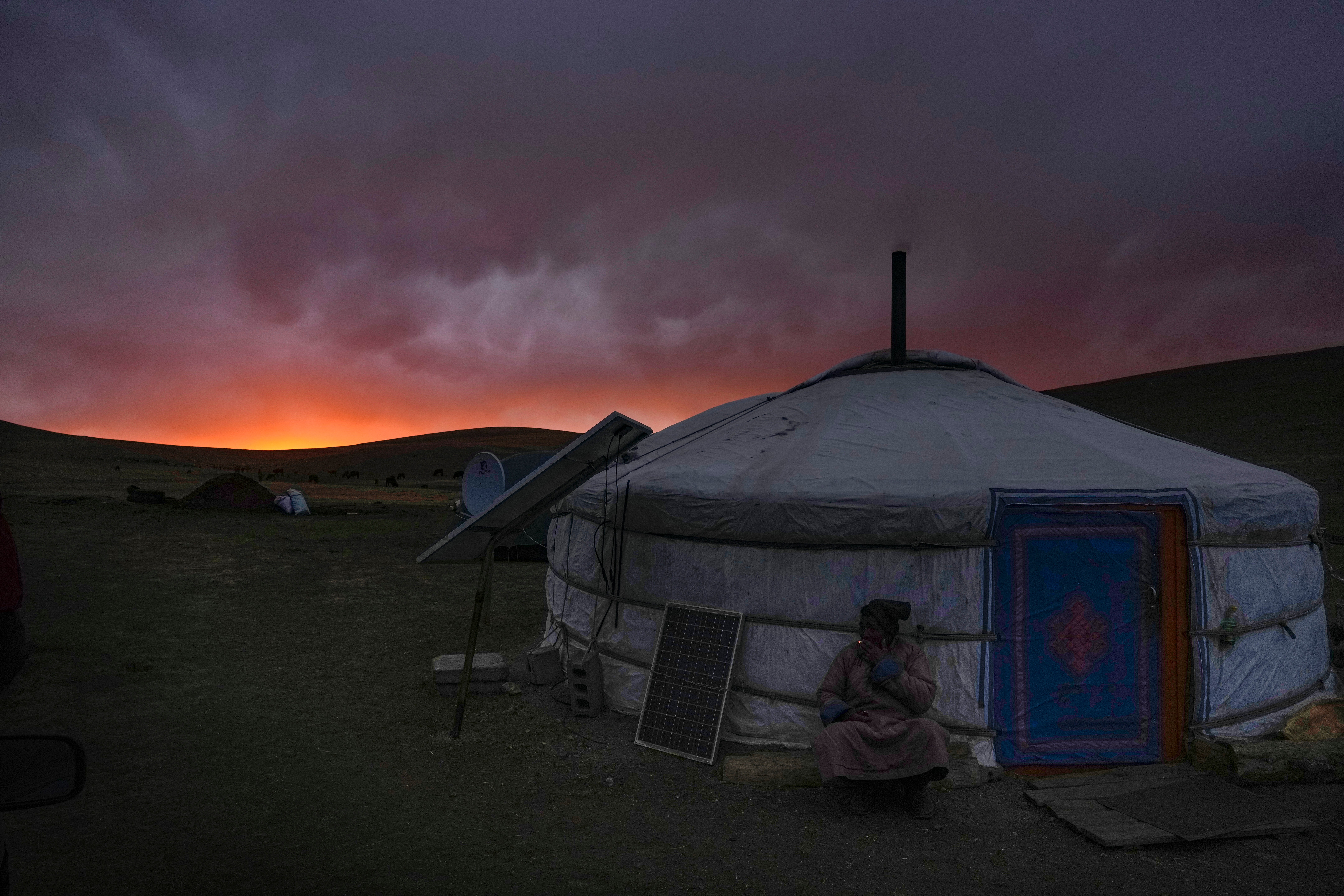 Protein Problem Pastoralism Mongolia Photo Essay