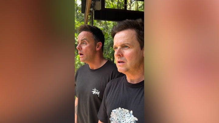 <p>Ant and Dec appear stunned as they enter I’m A Celebrity jungle.</p>