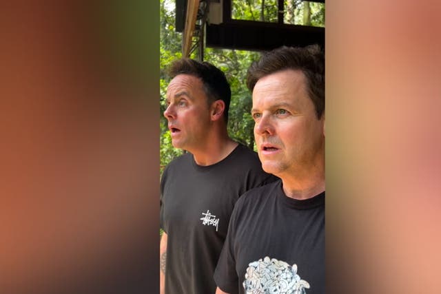 <p>Ant and Dec appear stunned as they enter I’m A Celebrity jungle.</p>