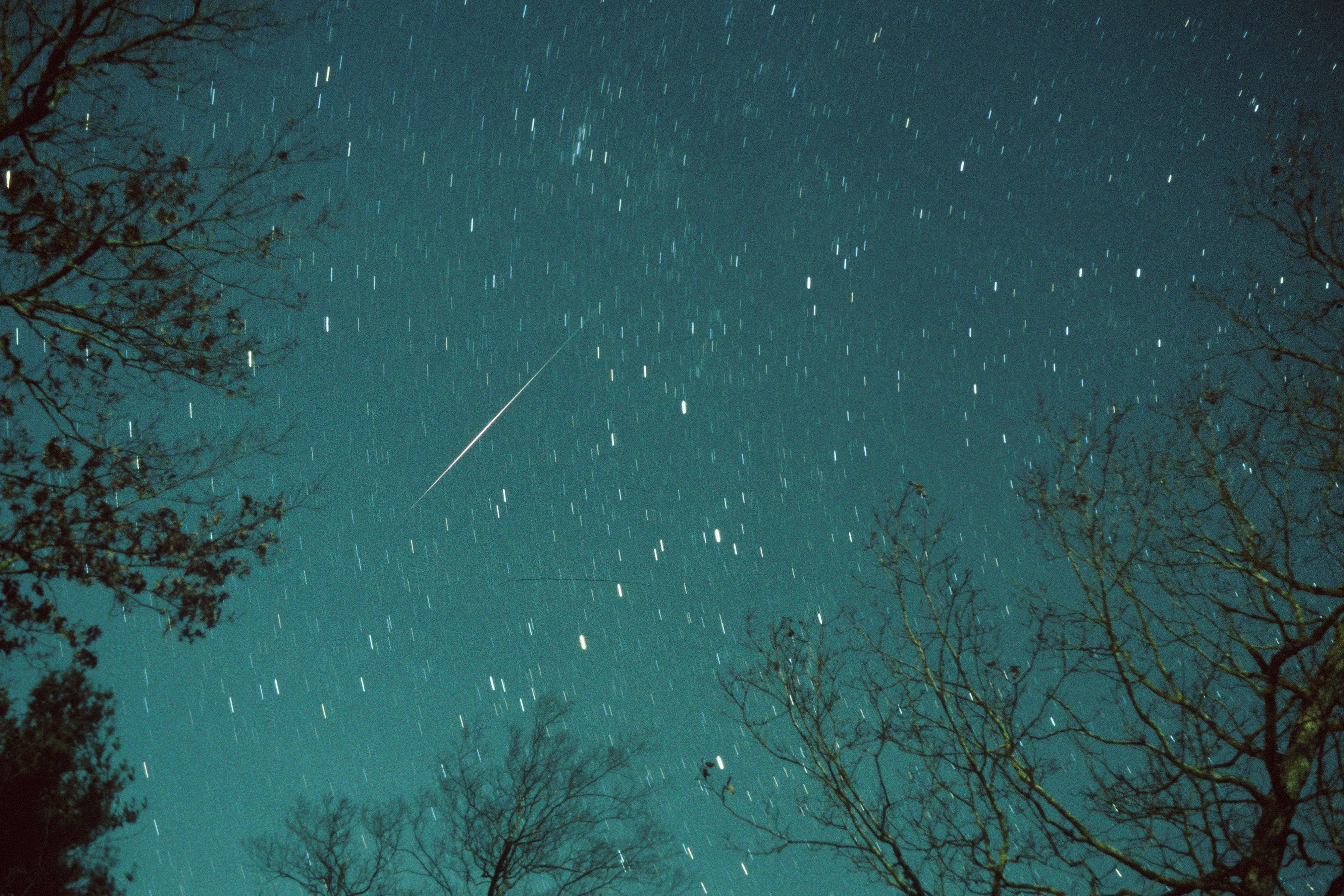 Leonid meteor captured in northern sky