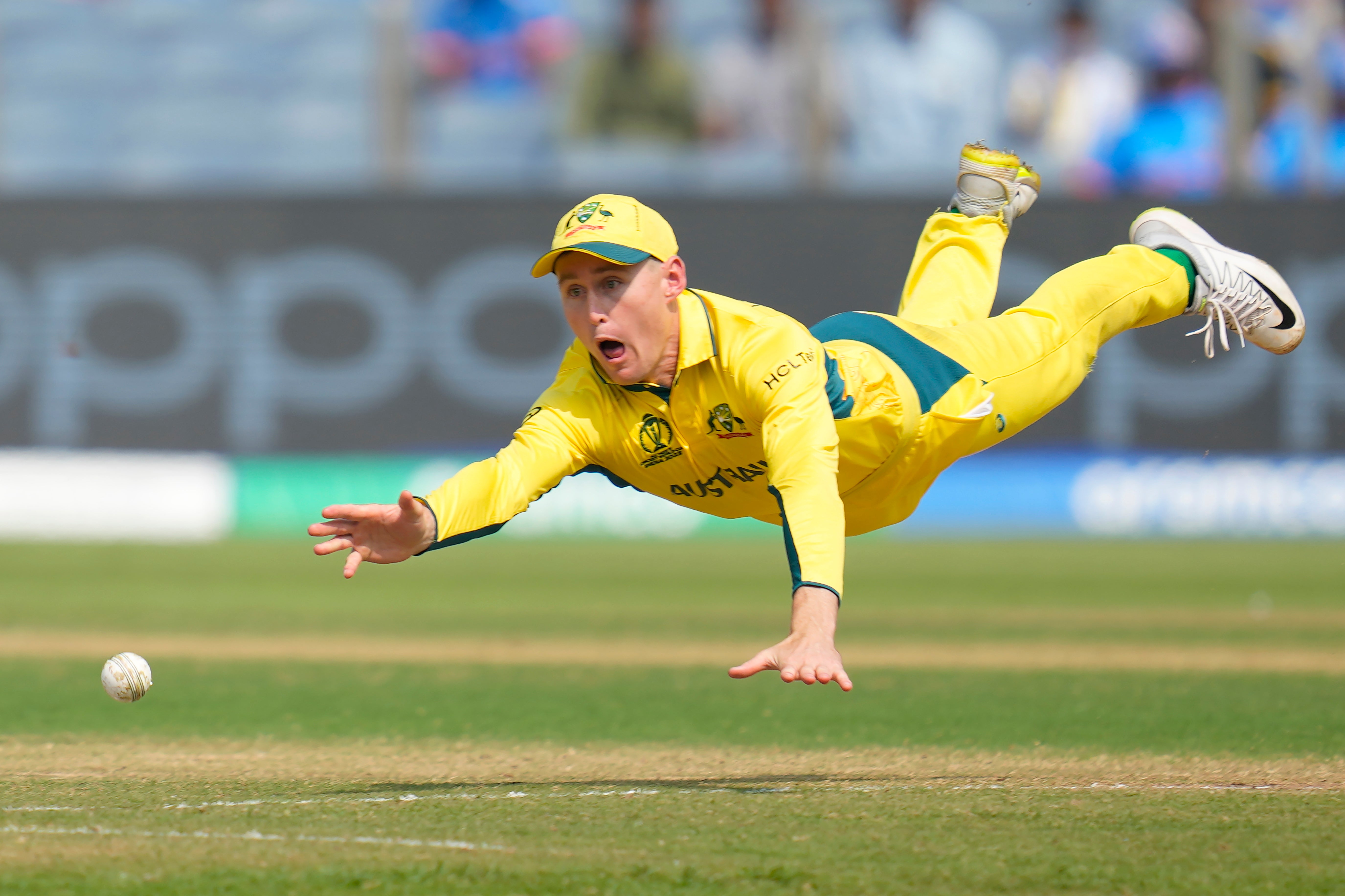 Pictures of the Week Global Photo Gallery