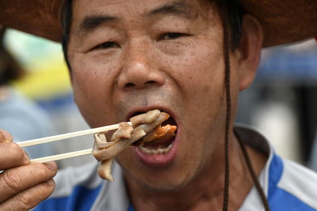 <p>A South Korean dog farmer protests against his government’s plans to outlaw the canine meat trade  </p>