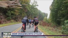 Watch: Deer crashes into cyclist after trying to leap over bike mid-ride