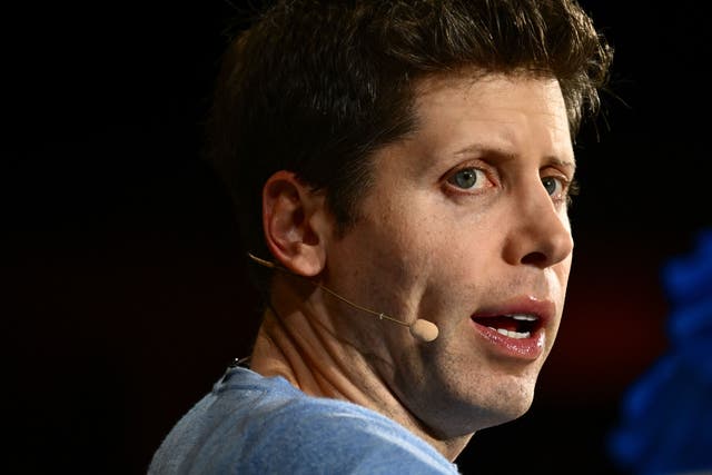 <p>Sam Altman speaks at a conference in Laguna Beach, California on 17 October 2023</p>