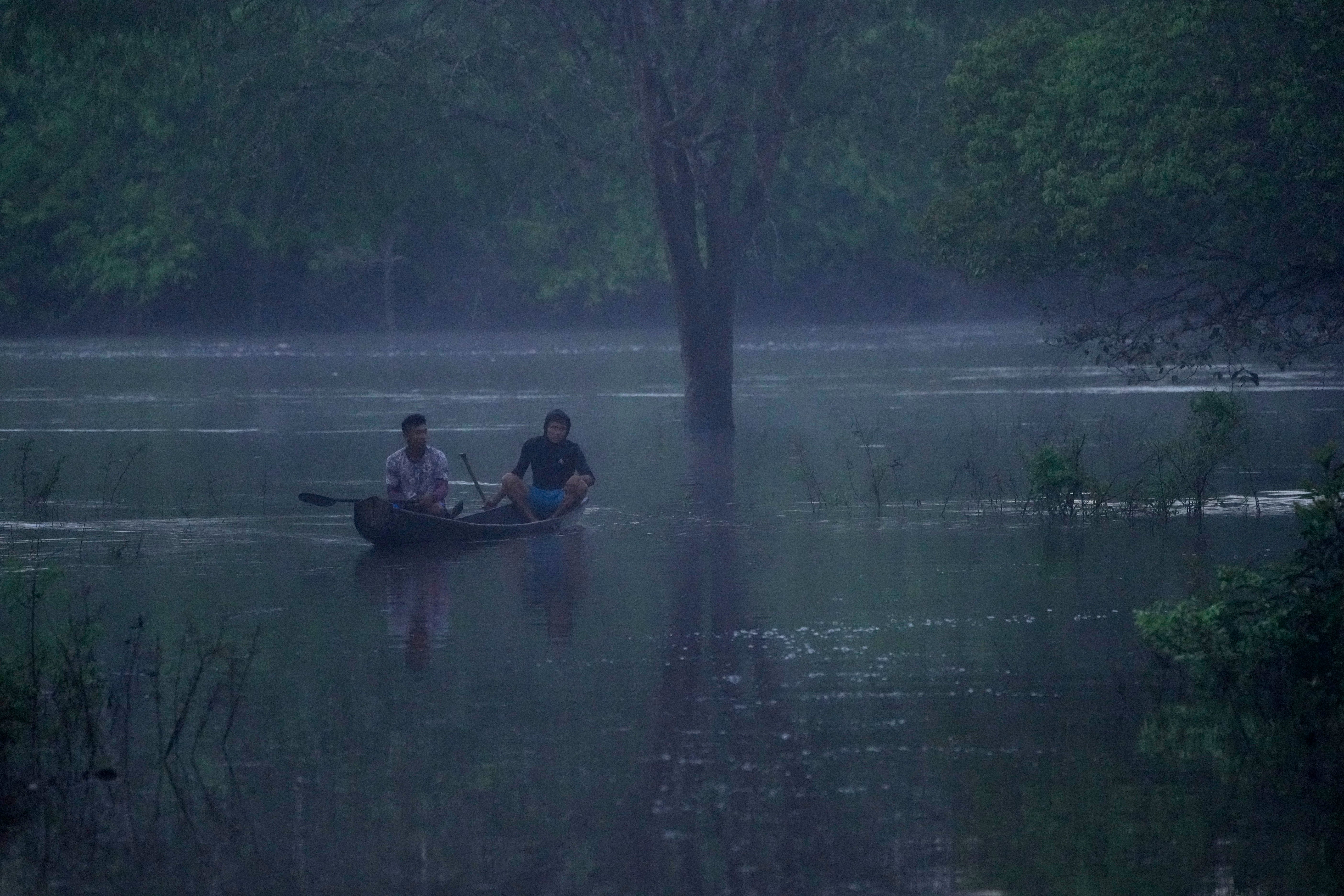DEMANDA DE PROTEÍNAS-SELVA