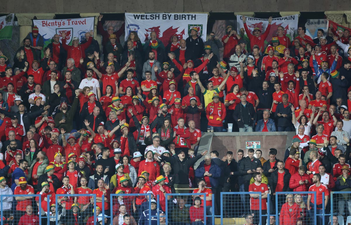 Dozens of Wales football fans arrested in Armenia ahead of crunch Euro 2024 qualifier