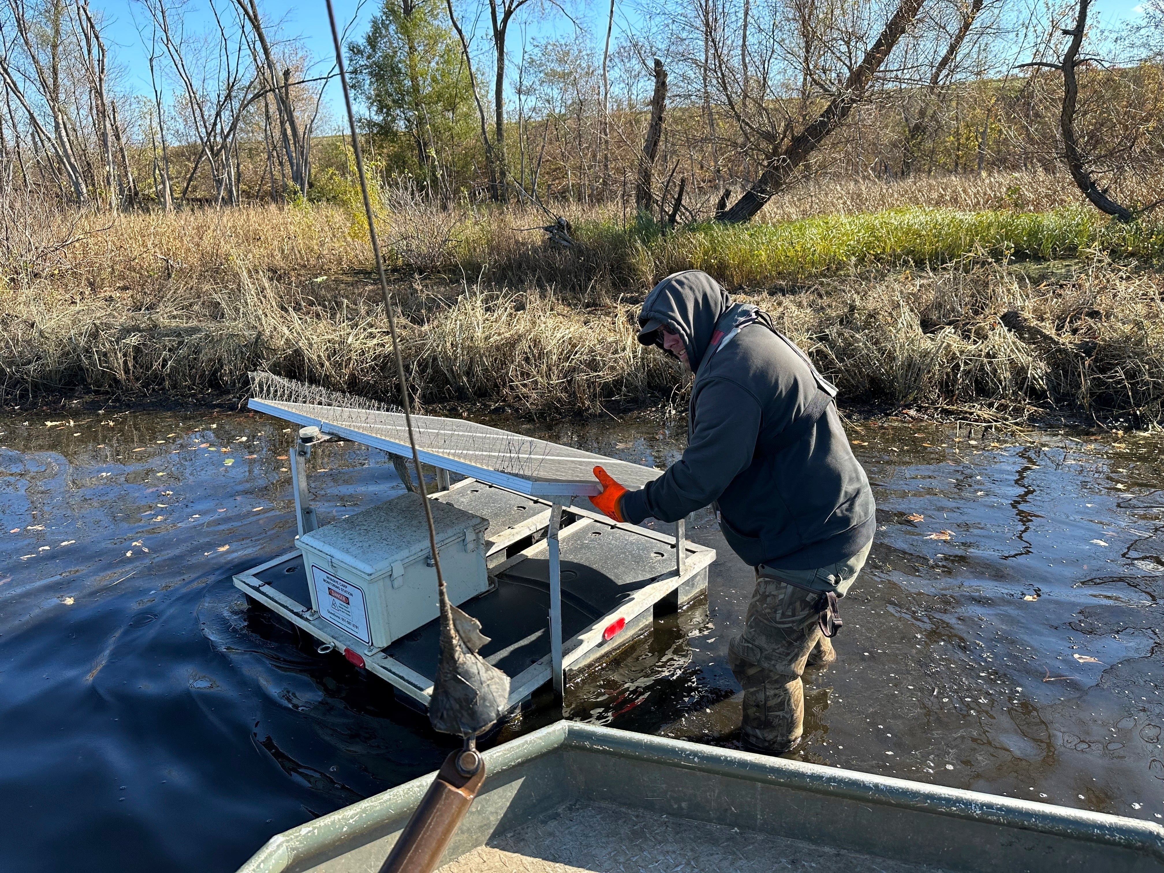 Invasive Carp-Traitor Fish Tracking