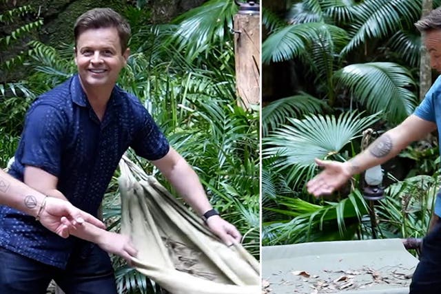 <p>Ant and Dec share exclusive first-look at I’m A Celebrity jungle camp.</p>