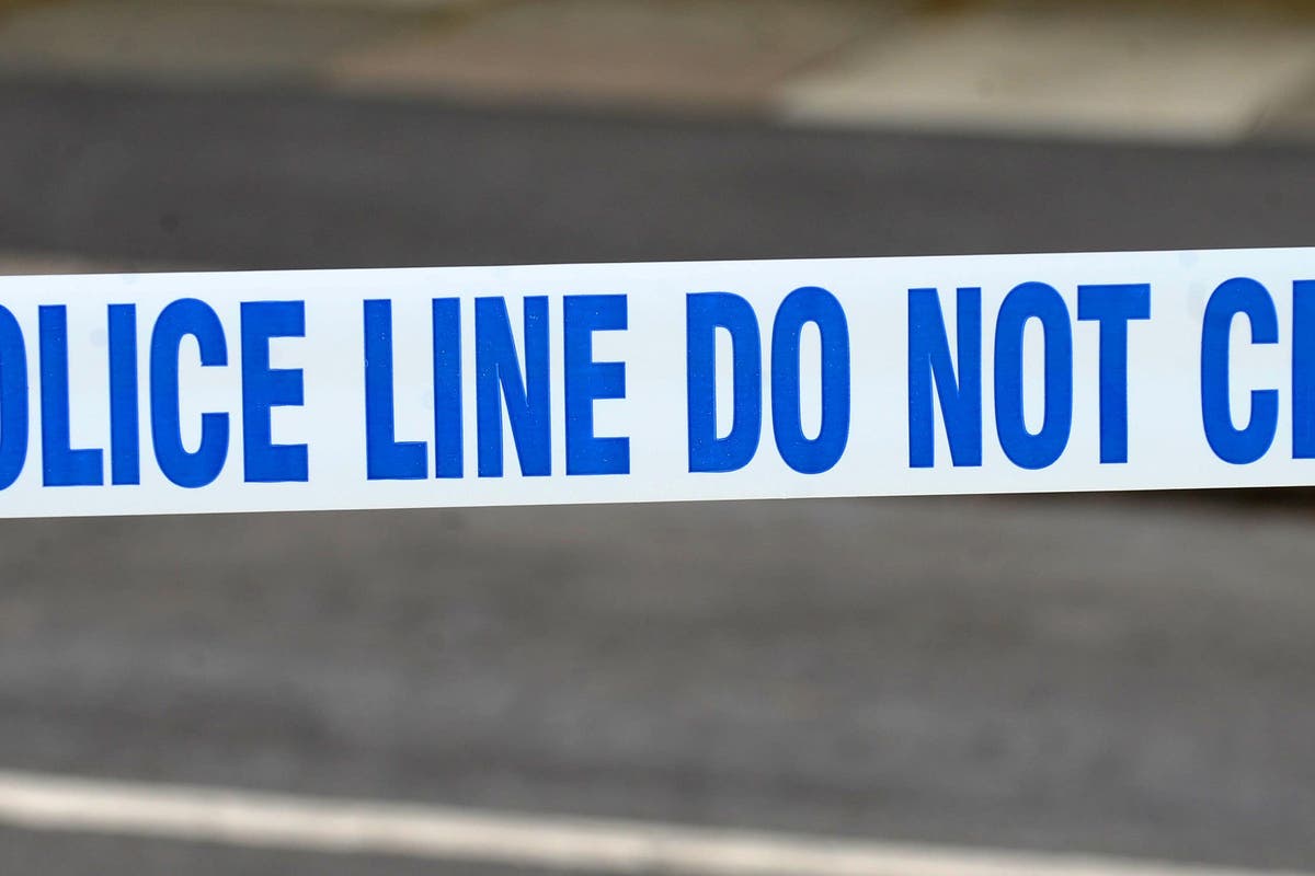 Teenage girl to appear in court over stabbing in Welsh village