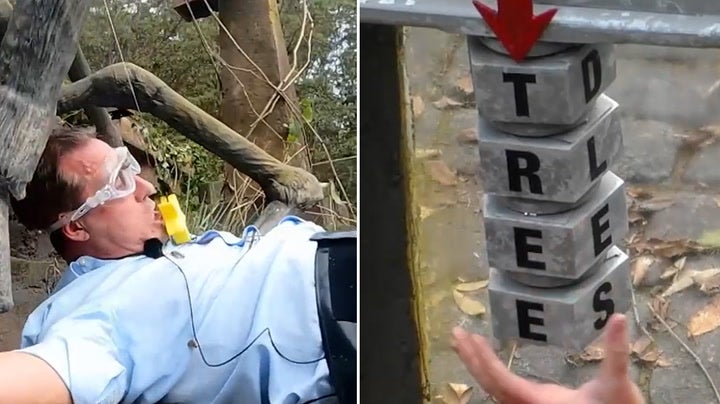 <p>I’m A Celebrity spoiler shows Marvin Humes, Jamie Lynn Spears and Nick Pickard take on Temple of Doom trial.</p>