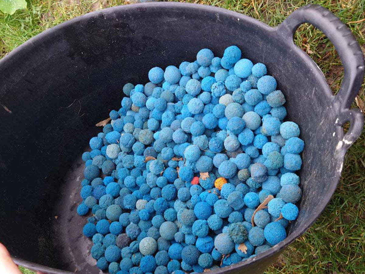 Hundreds of mysterious blue balls wash up on UK beaches