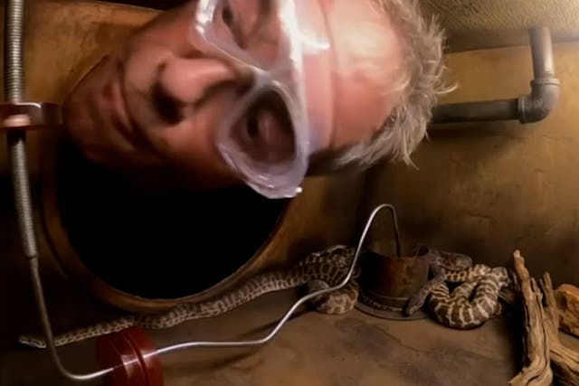 <p>Watch: I’m A Celebrity’s Nigel Farage takes part in ‘horrible’ snake challenge.</p>