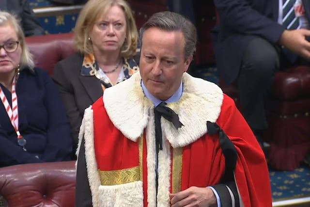 Lord Cameron of Chipping Norton swore an oath of allegiance to the King during a short introduction ceremony (House of Lords/UK Parliament/PA)