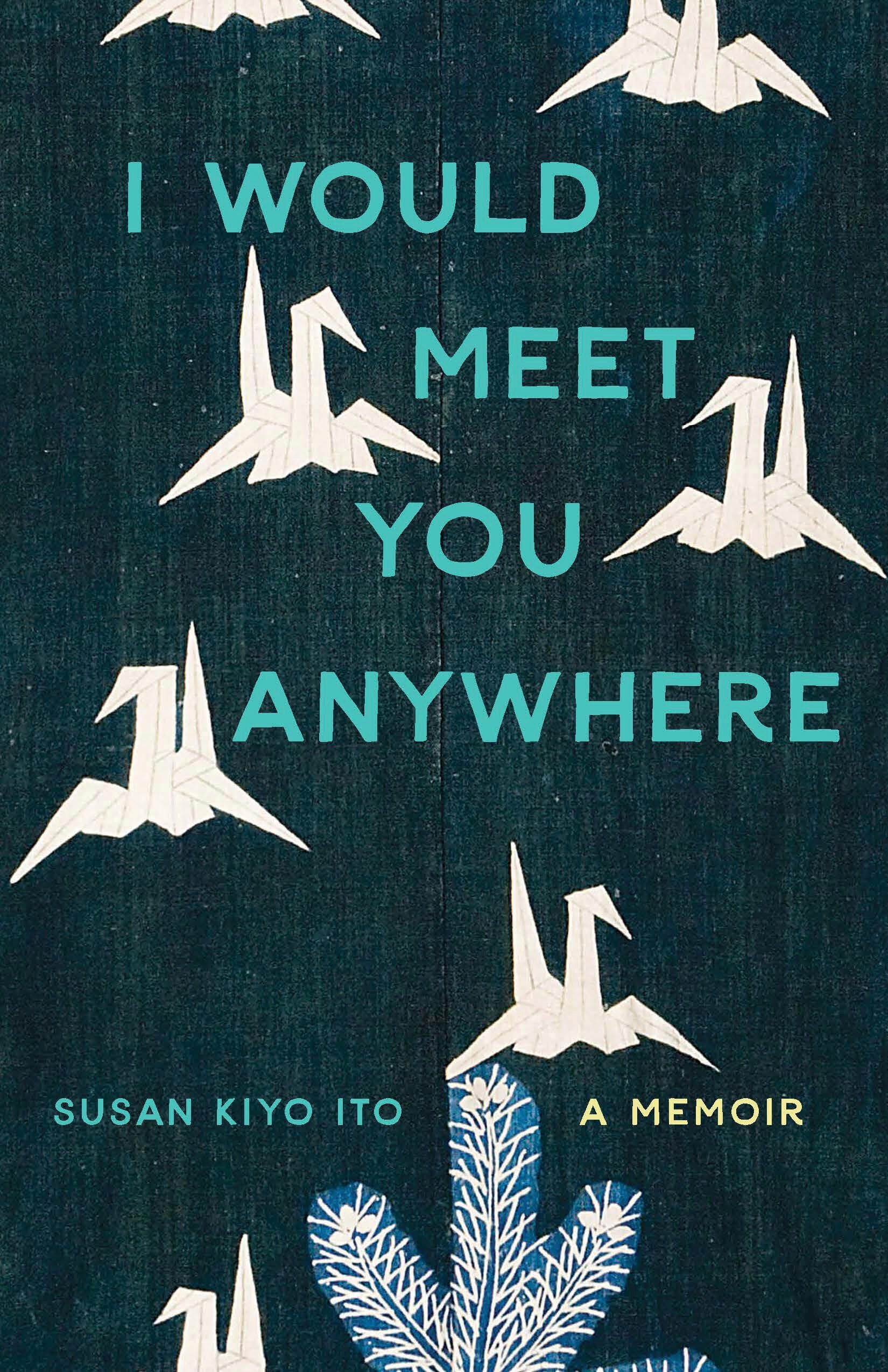 Book Review - I Would Meet You Anywhere