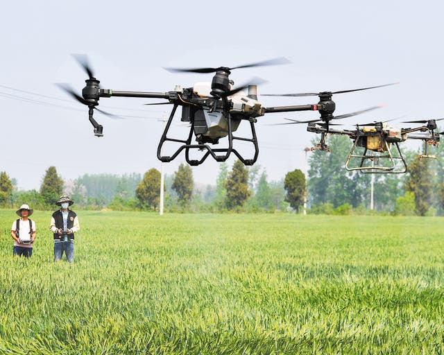 <p>Farmers use farm-specific drones to help spray pesticide in Bozhou, Anhui province, in April 2023</p>