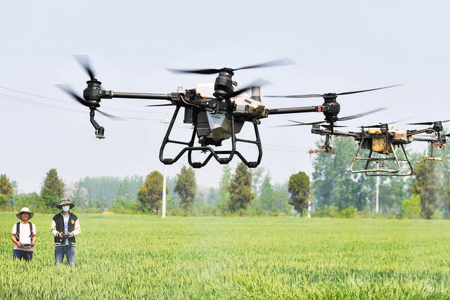 <p>Farmers use farm-specific drones to help spray pesticide in Bozhou, Anhui province, in April 2023</p>