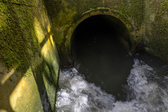 <p>Sewage is discharged into Earlswood brook, Surrey, from a nearby treatment works</p>