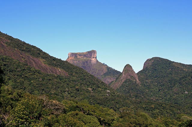 <p>The group were making their way to the  Pedra da Gávea mountain when their tour guide was killed </p>