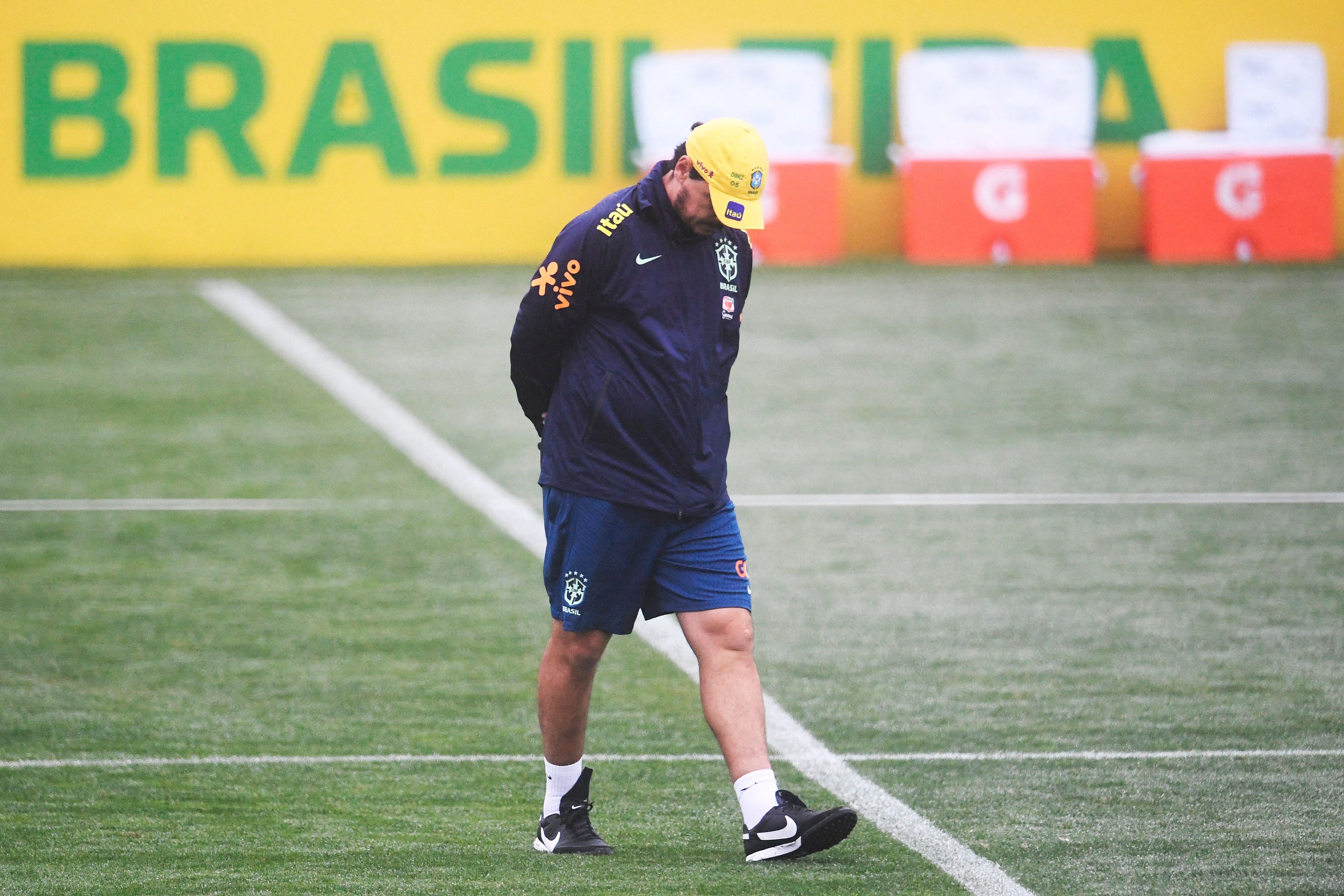 Fernando Diniz is in charge of Brazil until summer
