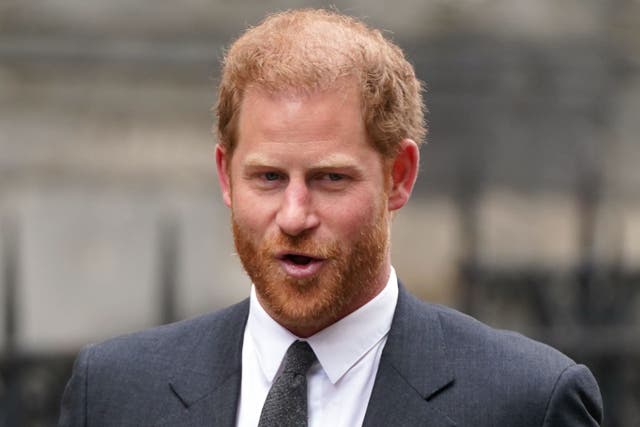 The Duke of Sussex (James Manning/PA)