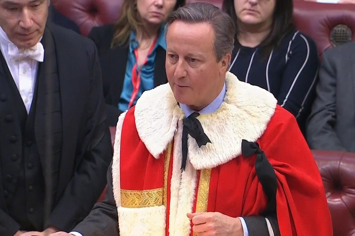 Lord Cameron takes dig at Boris Johnson in maiden speech in House of Lords