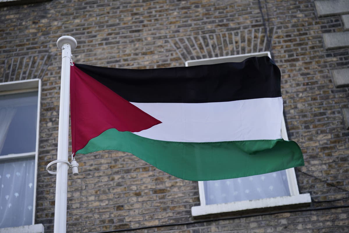 83 charged over ‘hate crimes and violence’ linked to pro-Palestinian protests