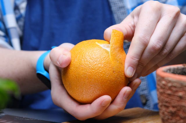 <p>Someone peeling an orange</p>