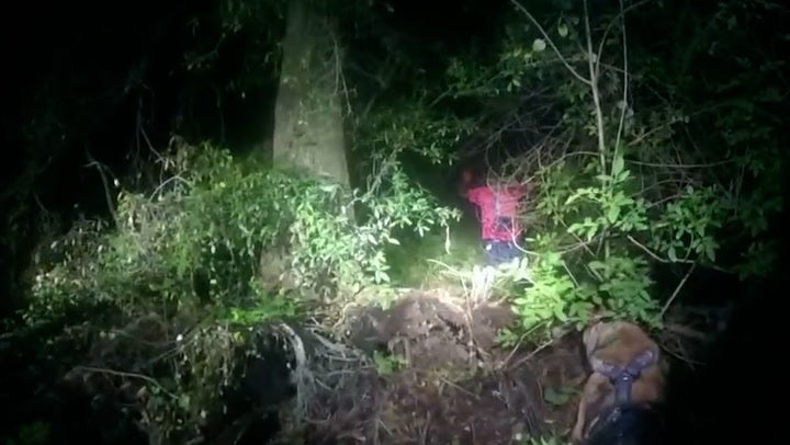 <p>Robbery suspects hiding in golf course bushes captured by police.</p>