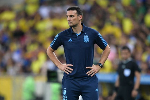 <p>Lionel Scaloni intends to stay on as Argentina boss </p>