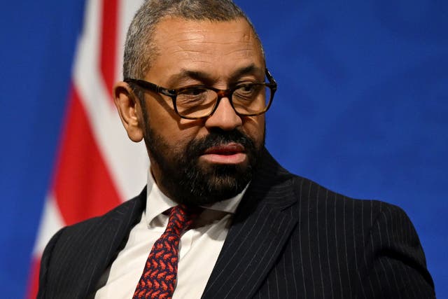 <p>Home secretary James Cleverly denied using the term</p>