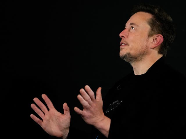 <p>Elon Musk in conversation with British prime minister Rishi Sunak in London, November 2023</p>