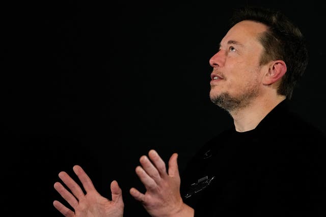 <p>Elon Musk in conversation with British prime minister Rishi Sunak in London, November 2023</p>