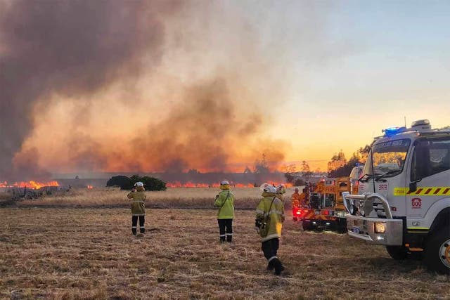 <p>Representative: West Australian firefighters watch as grassland burns near the West Australian city </p>
