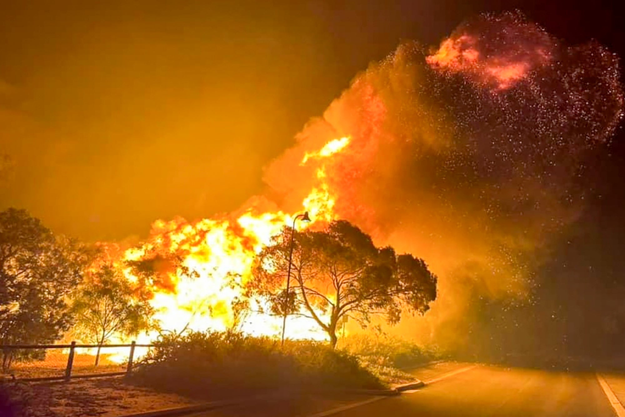 Wildfires in Australia earlier this month