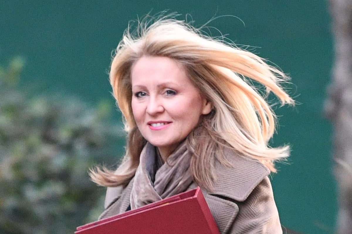 Esther McVey announces civil service rainbow lanyard ban in new Tory culture war