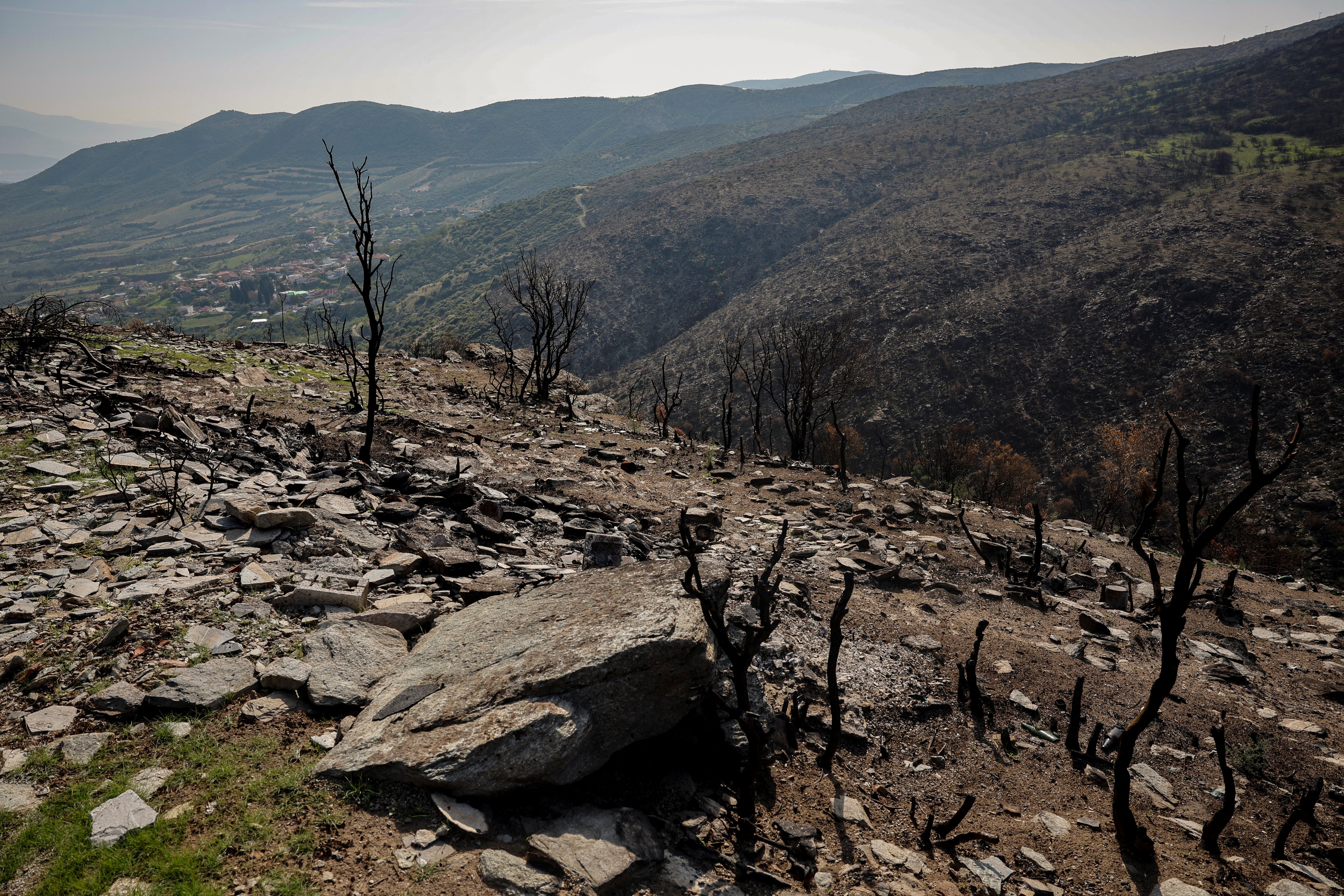 Burned trees stand outside St John’s Church after July’s wildfire