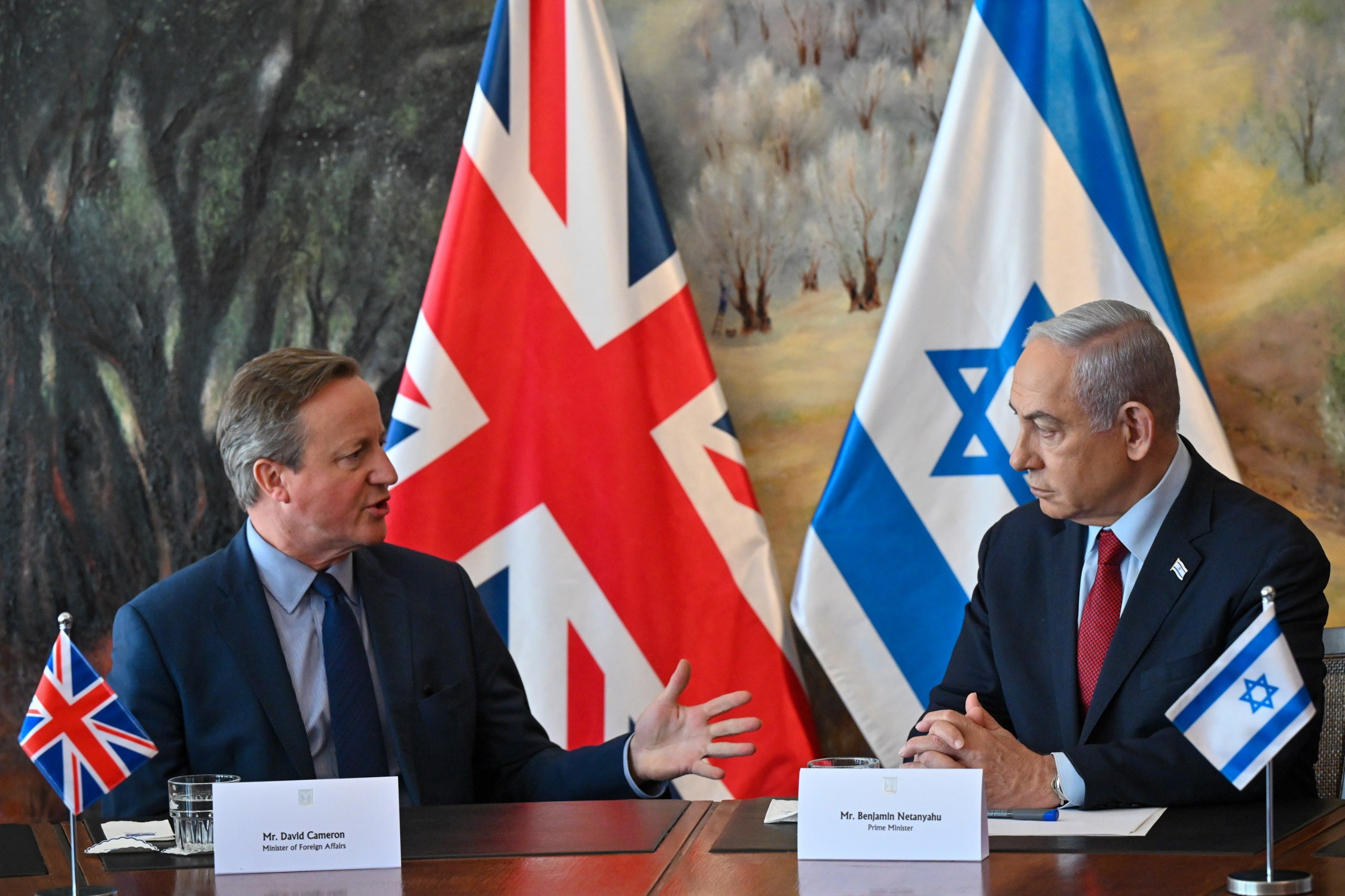Cameron has pushed Netanyahu to consider a two-state solution