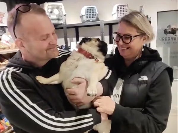 Matthias and Lana Jonsson were reunited with their pugs Mafia, 3, and Maria, 1, after 11 days